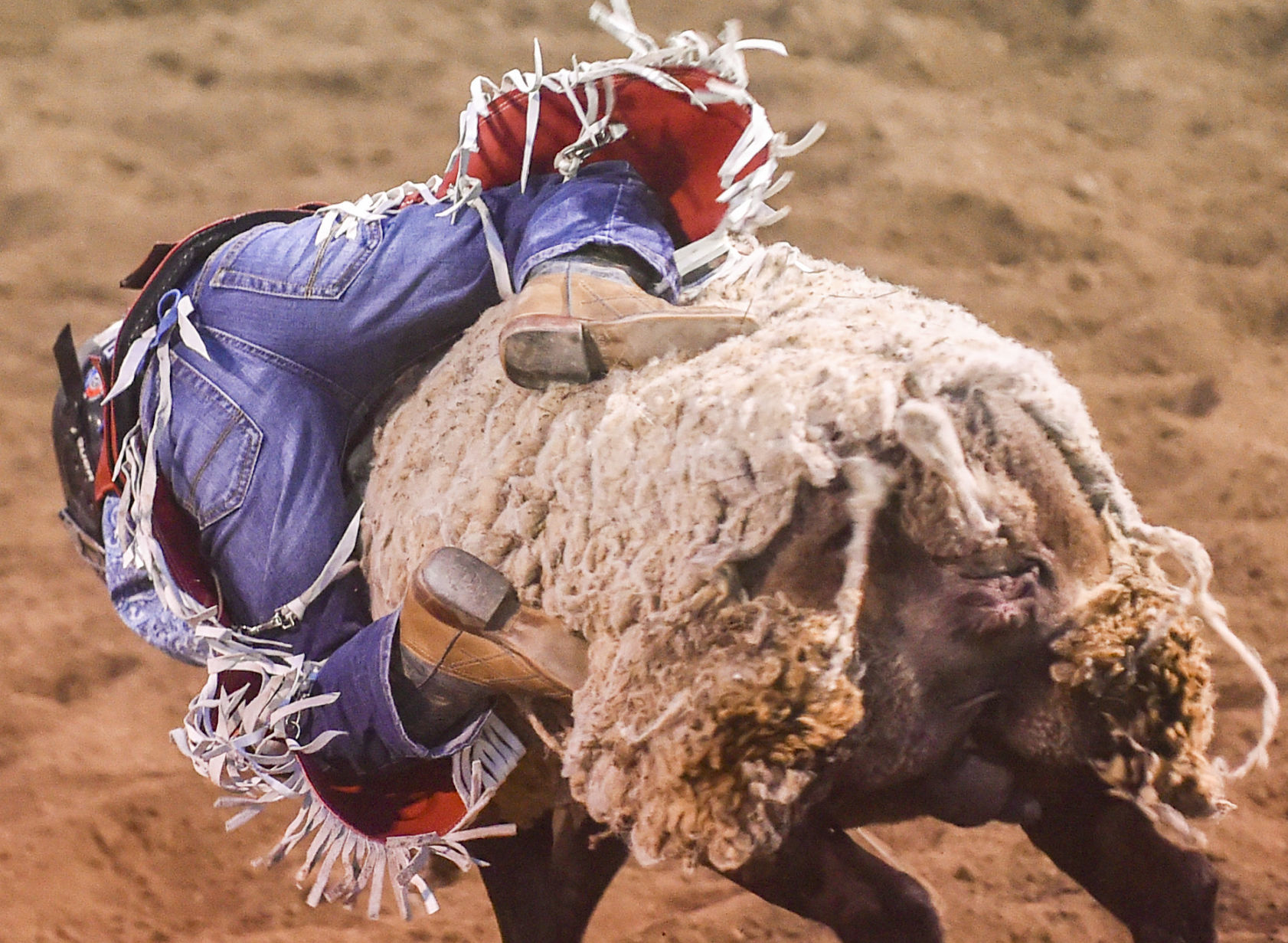 081619-mda-nws-rodeo-08.jpg
